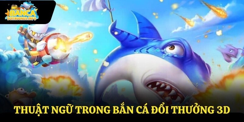 Thuật ngữ trong bắn cá đổi thưởng 3D